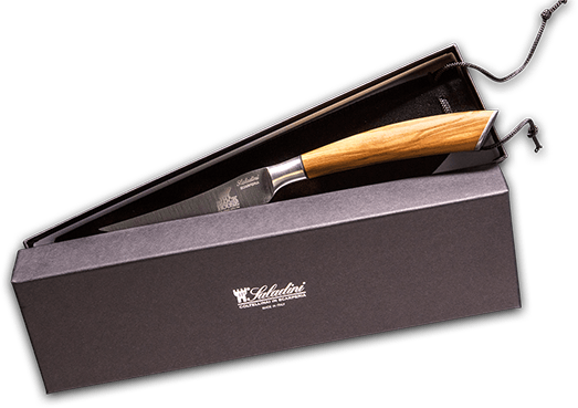 Edles Saladini-Steakmesser