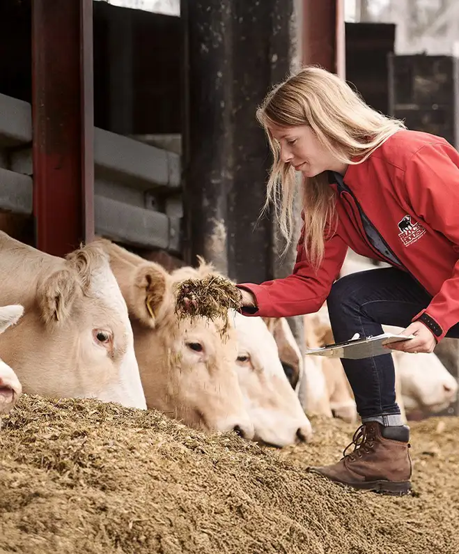 Warum Regionalität für unser Fleisch so wichtig ist