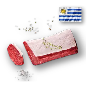 Angus Roastbeef Uruguay Produktbild
