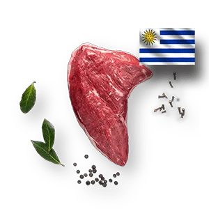 Bürgermeisterstück Uruguay Produktbild