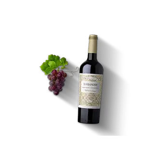 Cabernet Sauvignon, trocken Produktbild