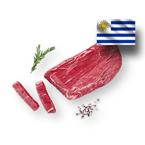 Flanksteak Uruguay Produktbild