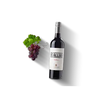 Malbec, trocken, Bodegas Callia Produktbild