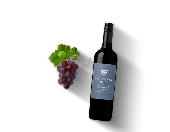 Merlot, trocken Produktbild  L