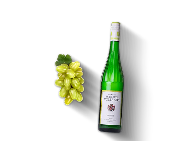 Riesling, Schloss Vollrads Produktbild L