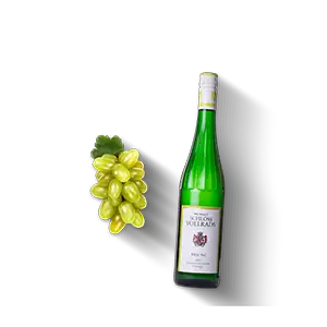 Riesling Gutswein, Schloss Vollrads Produktbild