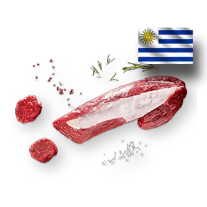 Filet Uruguay Produktbild