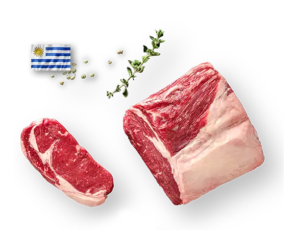 Roastbeef-Steak Uruguay Produktbild  L