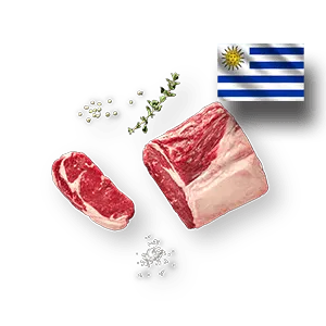 Roastbeef-Steak Uruguay Produktbild