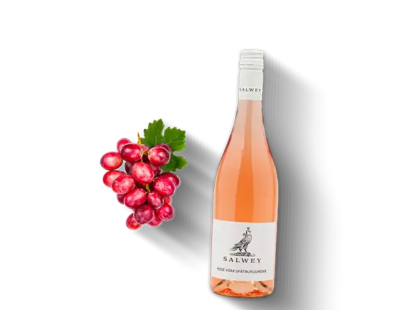 Rosé, trocken, Salwey Produktbild  L