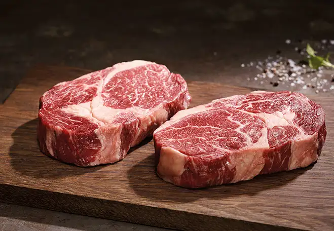 Produkte & Empfehlungen