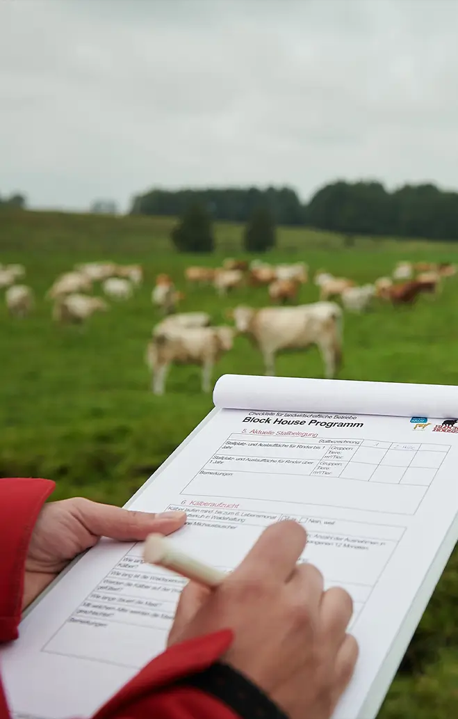 Nachhaltiges Rindfleisch in bester Qualität zu fairen Preisen