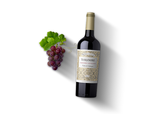 Cabernet Sauvignon, trocken
