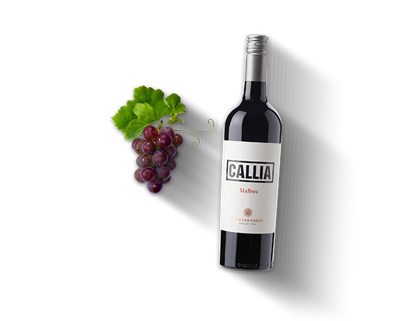 Malbec, trocken, Bodegas Callia