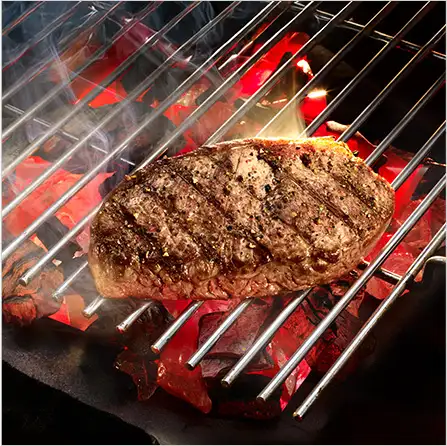 evergreen_garstufen_steak_grillen